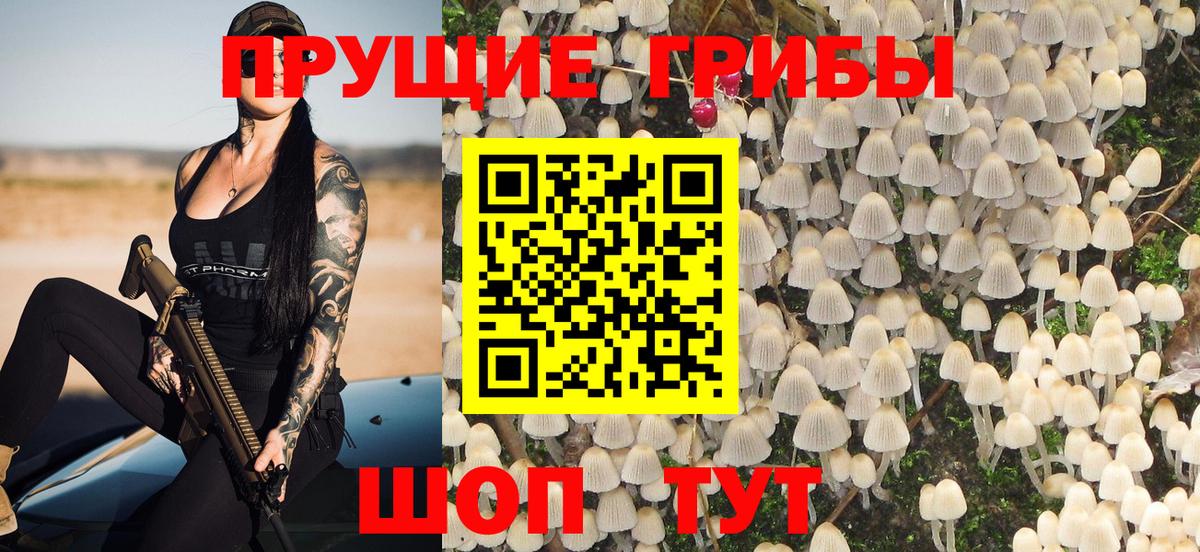Галлюциногенные грибы ЛСД  Галлюциногенные грибы мицелий  Вход с VPN  купить  сайты  Губкин 